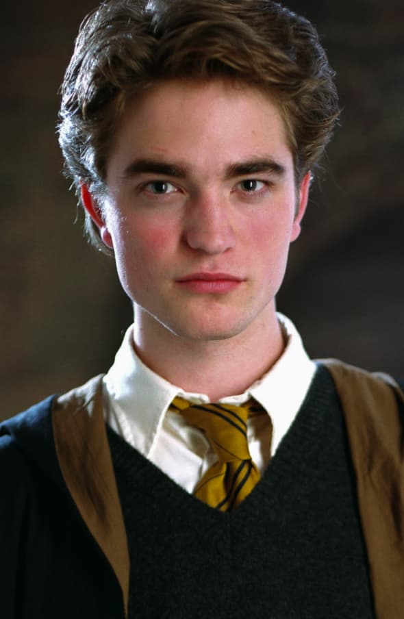 Portret of Cedric Diggory