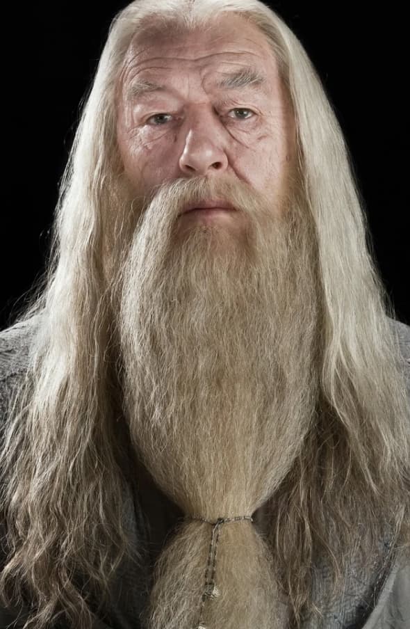 Portret of Professor Dumbledore