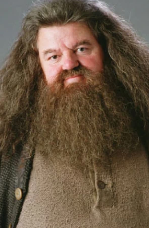 Portret of Hagrid