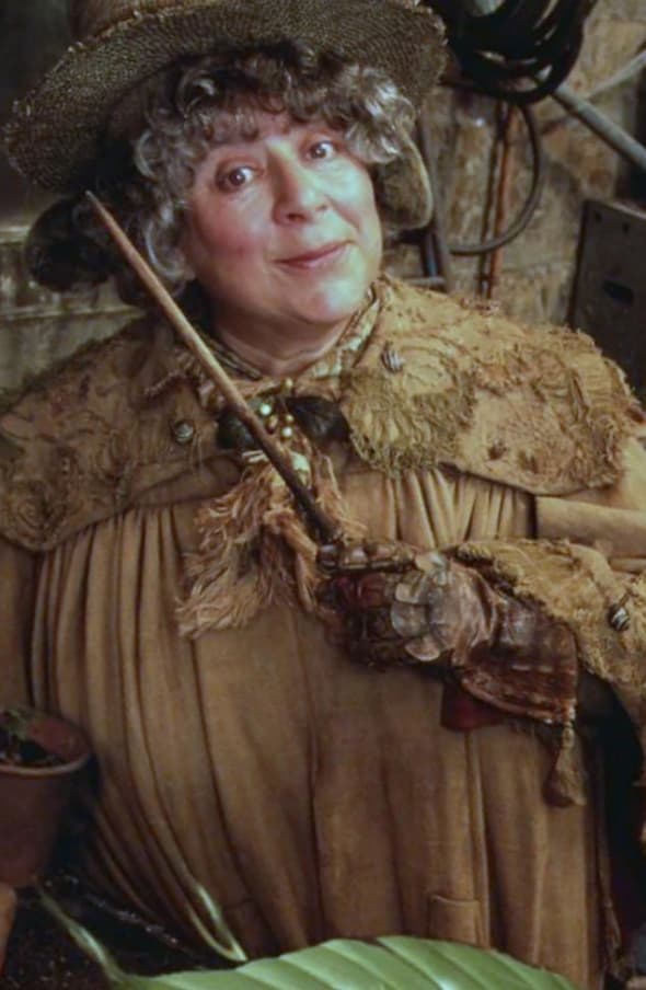 Portret of Professor Sprout