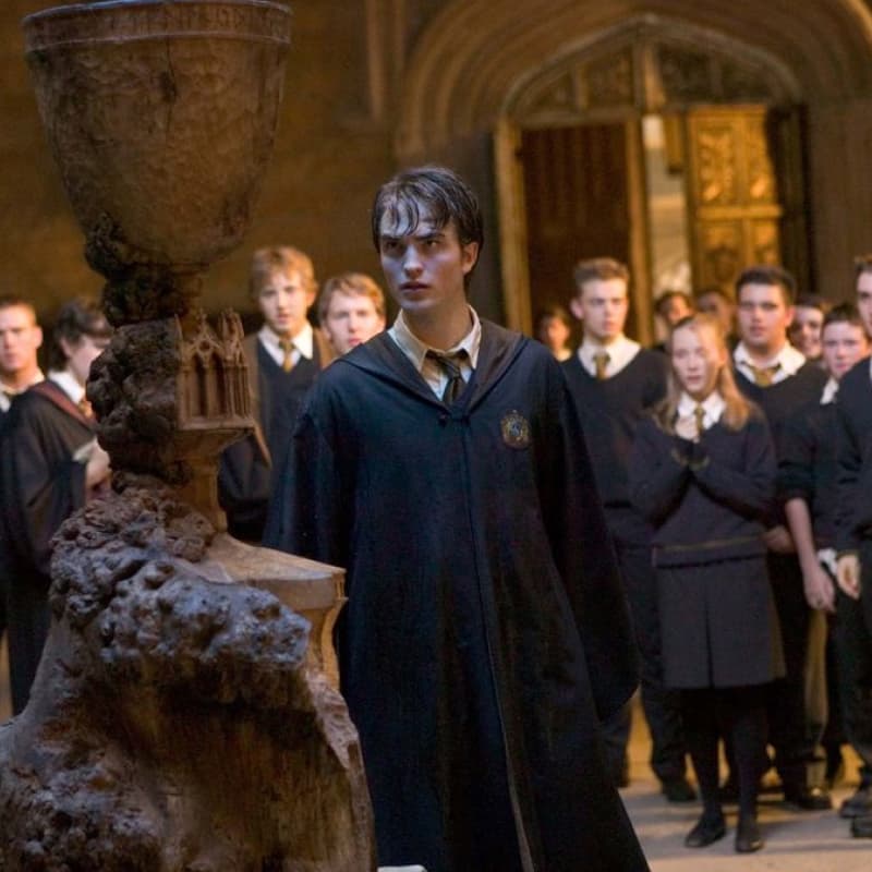 The Hogwarts students