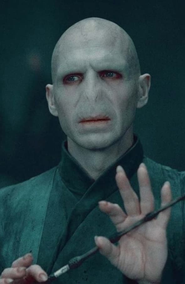 Portret of Voldemort